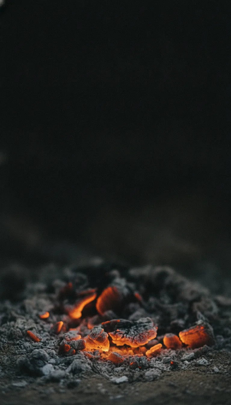 Brasas todavía encendidas entre la ceniza de un fuego que parecía apagado